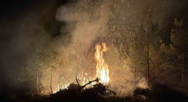 Vali Ergün yangın bölgesinde incelemelerde bulundu