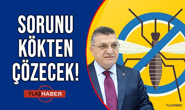 VALİ, SİNEKLERİ KISKACA ALDI!