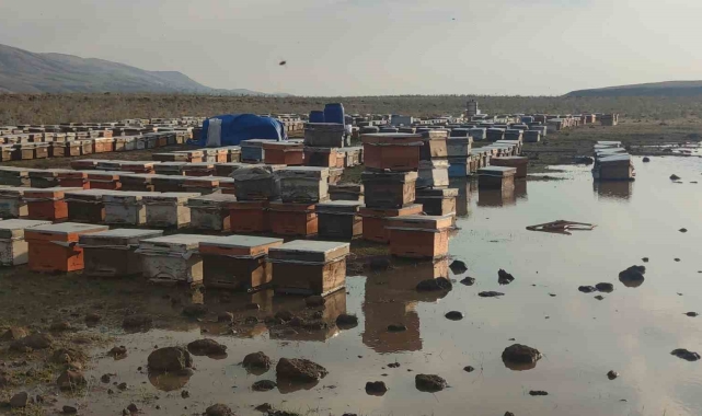 Van'da sağanak yağmur arı kovanlarını vurdu