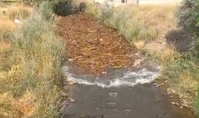 Varto'da dereler taştı, tarım arazileri sular altında kaldı