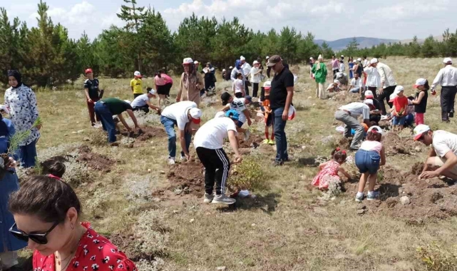 Vatandaşlar hem fidan dikti hem de eğlendi
