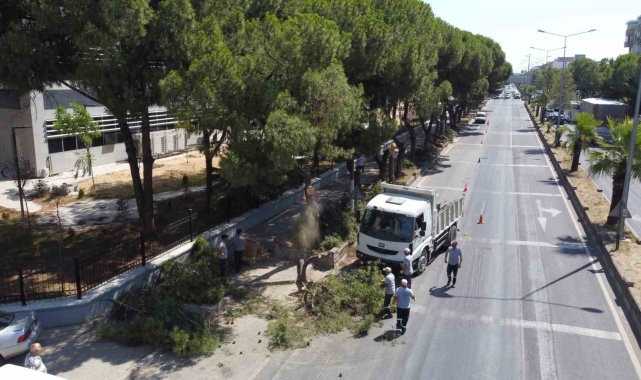 Vatandaşların, can ve mal güvenliği için tehlike arz eden ağaçlar budandı
