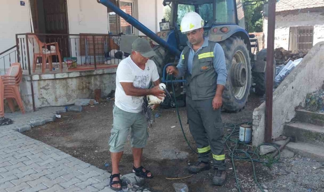 Vatandaşların dikkati leylek yavrusunu kurtardı