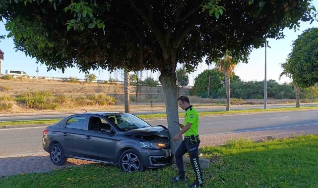 Virajı alamayan otomobil ağaca çarptı