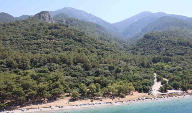 Yaban hayatının son sığınağı için tedbirler alındı