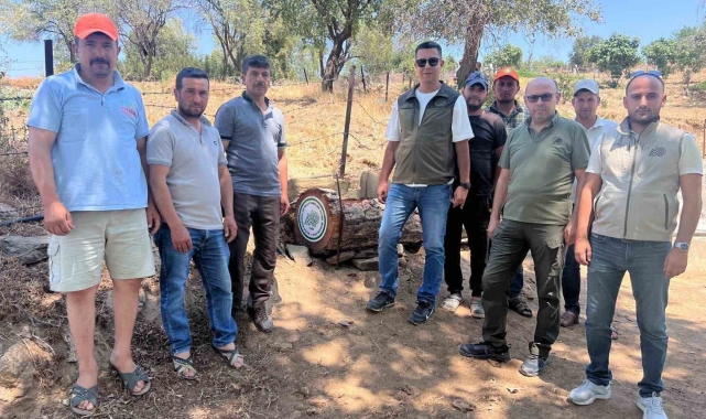 Yaban hayvanları için su yalakları yapıldı