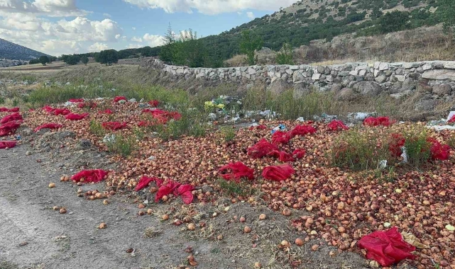 Yaklaşık 2 ton kuru soğanı boş araziye döküp gittiler