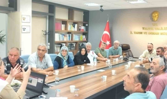 Yalova'da ceviz yetiştiricilerine eğitim