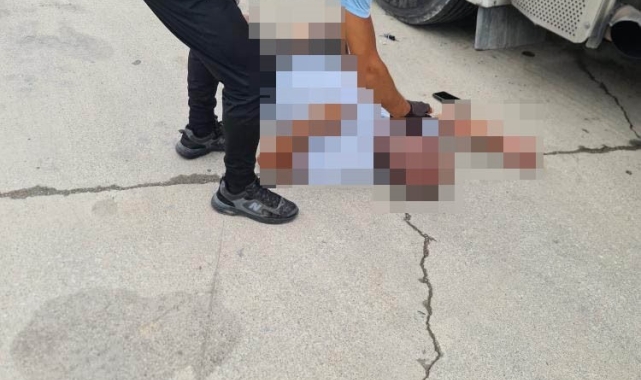 Yalova'da tır şoförü aracının yanında ölü bulundu