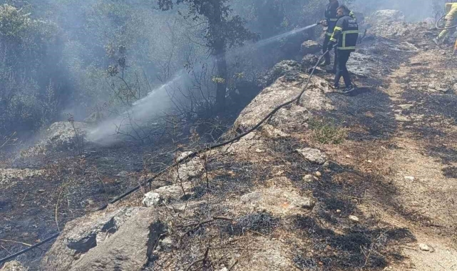 Yayladağı'nda orman yangını