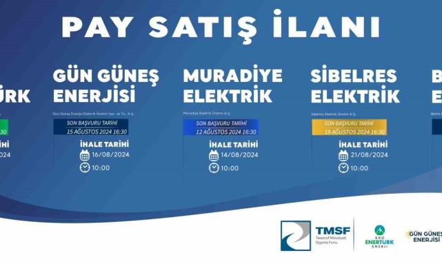 Yenilenebilir enerjide dev satış: TMSF enerji şirketlerini ihaleye çıkardı