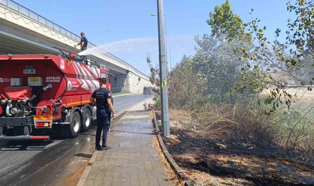 Yol kenarına atılan sigara izmariti yangın çıkardı