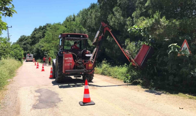 Yol kenarındaki otlar ve çalılar temizleniyor