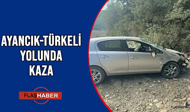 YOLDAN ÇIKAN ARAÇ ŞARAMPOLE UÇTU!