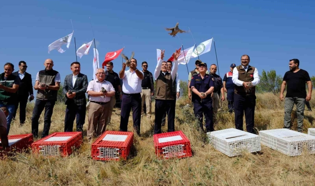 Yozgat'ta 800 kınalı keklik doğaya salındı
