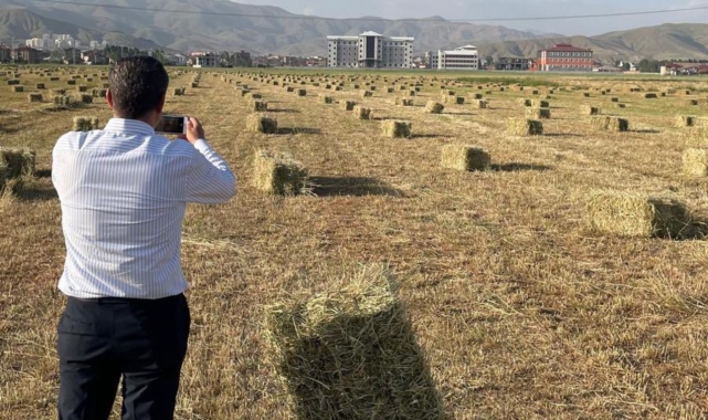 Yüksekova'da yağışlar tarımda verimliliği artırdı