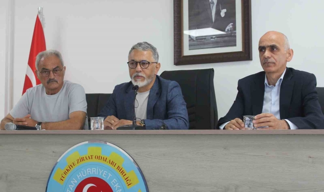 Ziraat odası başkanlarından 'Ulusal Fındık Konseyi'ne rekolte açıklama tepkisi