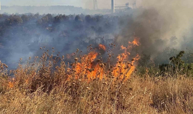 Ziraat odasından çiftçilere 'anız yangını' uyarısı