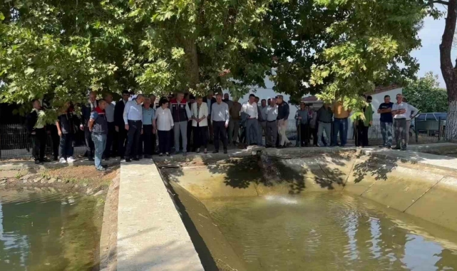 10 milyon yavru sazan suya bırakıldı