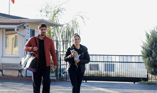 266 can dostu yeni yuvasına kavuştu