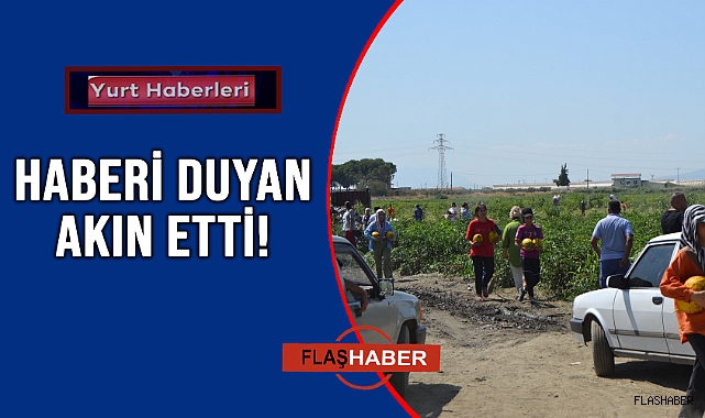 600 TONU ÜCRETSİZ DAĞITTI!