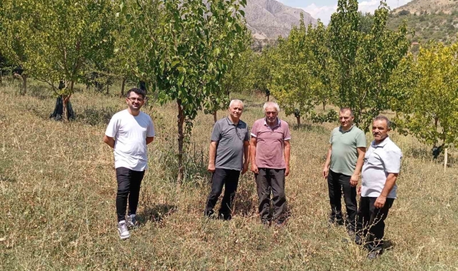 74 yaşındaki Kemaliyeli öğretmen 19 bin ağacı toprakla buluşturdu