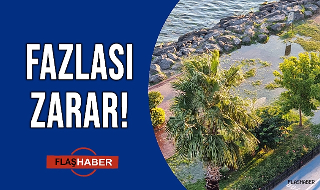 ABARTISI İSRAF DEMEK!