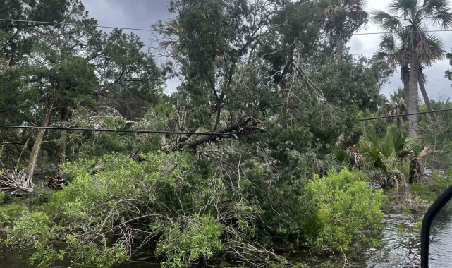 ABD'de etkili olan Debby Kasırgası'nın bilançosu netleşmeye başladı: 4 ölü, 1 yaralı