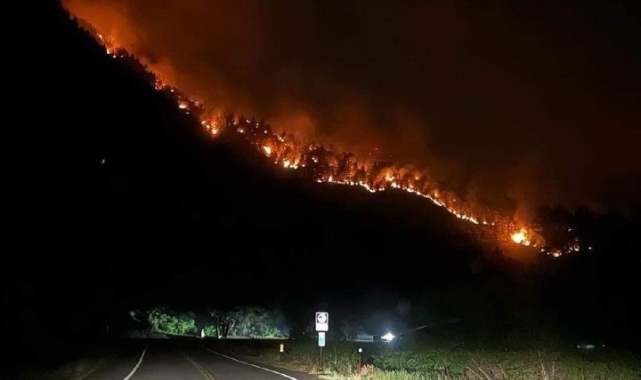ABD'nin Colorado eyaletindeki orman yangınında 1 kişi öldü