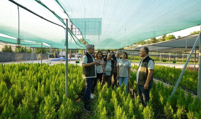 Adana'da orman varlığı yüzde 2.3 arttı