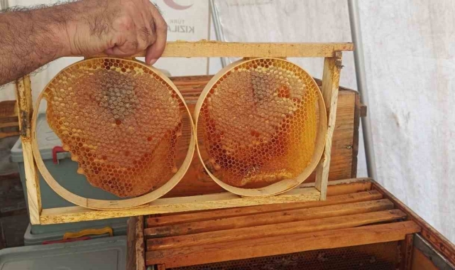 Adıyaman'da bal sağımı yapılıyor