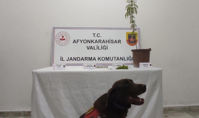 Afyonkarahisar'da uyuşturucu operasyonu: 2 gözaltı