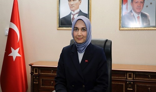 Afyonkarahisar'daki orman yangınıyla ilgili 1 gözaltı