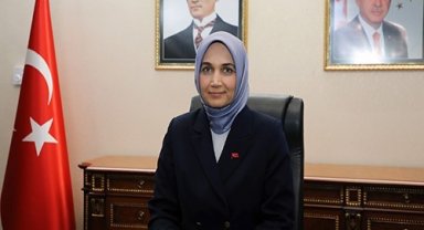 Afyonkarahisar'daki orman yangınıyla ilgili 1 gözaltı