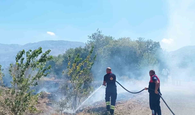 Ağaçlık alanda çıkan yangın itfaiye ekiplerinin müdahalesiyle söndürüldü