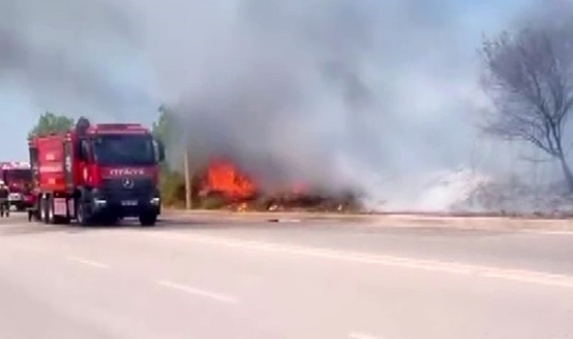 Ağaçlık alanda çıkan yangın itfaiye tarafından söndürüldü