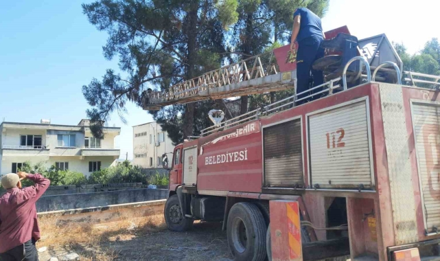 Ağaçta mahsur kalan papağanı itfaiye ekipleri kurtardı