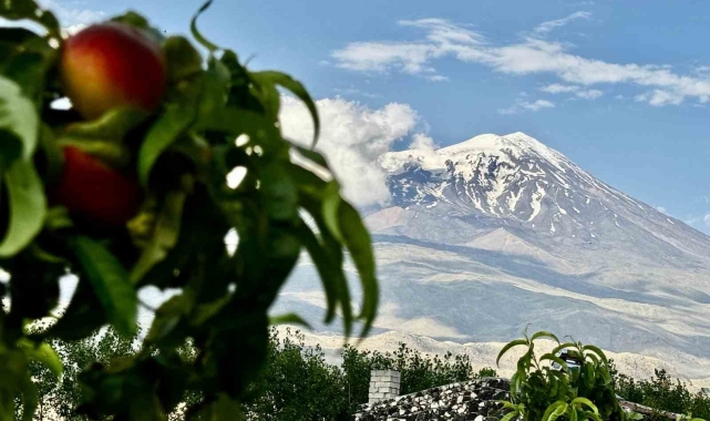 Ağrı Dağı ihtişamıyla göz kamaştırıyor