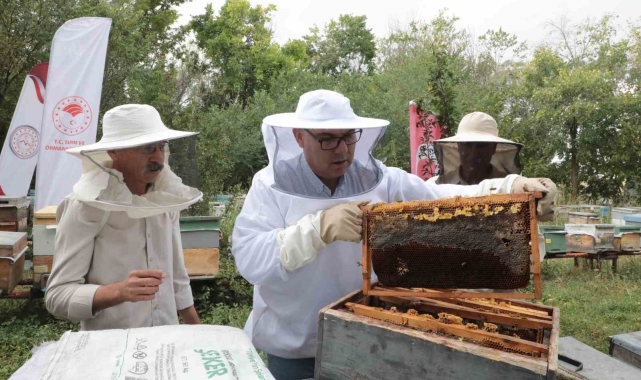 Ağrı'nın tescilli Geven Balından 400 ton verim hedefleniyor