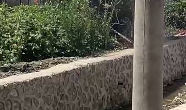 Ahır alev alev yandı, hayvanlar son onda telef olmaktan kurtarıldı