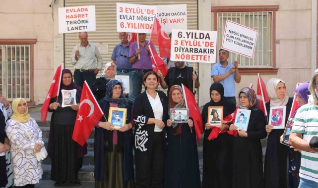 AK Parti Milletvekili Ataman'dan 3 Eylül'de Diyarbakır annelerine 'destek' çağrısı