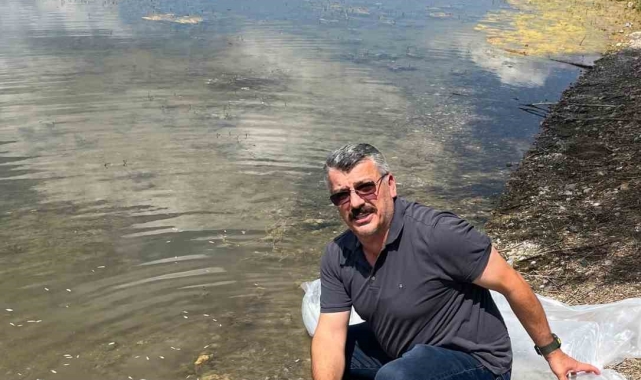 Alaca'da barajlara 320 bin yavru balık bırakıldı