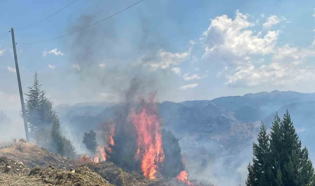 Alanya'da makilik alanda çıkan yangın ormana sıçramadan söndürüldü