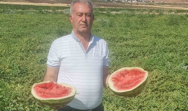 Altun: "Tarlada bedava, rafta ateş pahası"