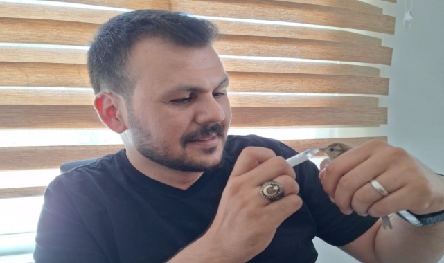 Amasya'da veteriner teknikeri kucağına konan serçe yavrusuna sahip çıktı