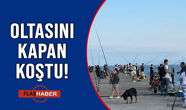 AMATÖR BALIKÇILARIN UĞRAK YERİ!
