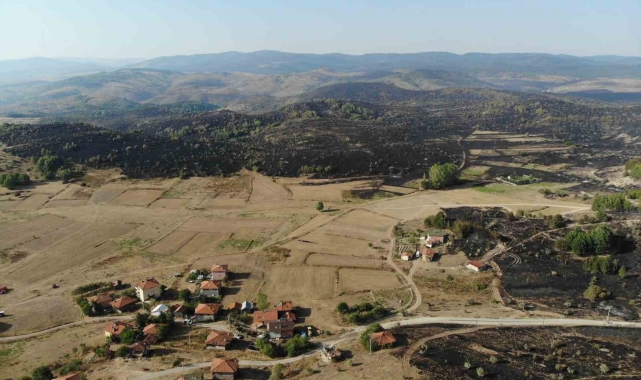 Ankara-Bolu sınırında yanan bölge dronla görüntülendi