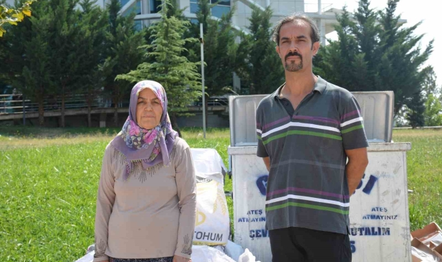 Ankara'da başıboş köpekler sokakta oynayan 5 yaşındaki kıza saldırdı
