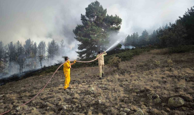 Ankara'dan Bolu'ya sıçrayan yangın 22 saat sonra kontrol altına alındı