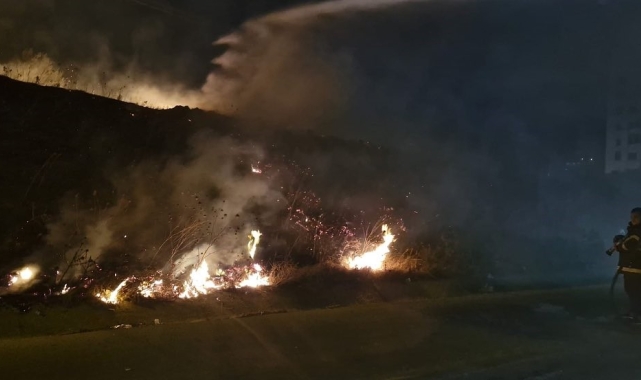 Antakya'da çıkan tarla yangını itfaiye tarafından söndürüldü